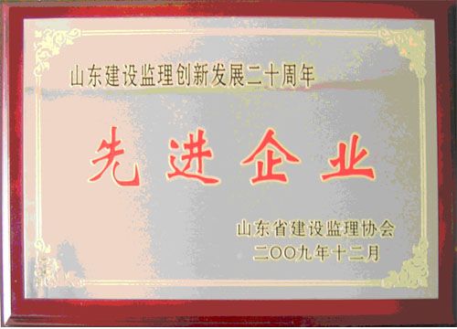 点击查看详细信息<br>标题：山东建设监理创新发展二十周年先进企业 阅读次数：5351