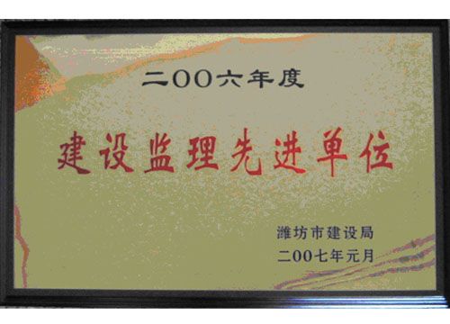 点击查看详细信息<br>标题：2006年度建设监理先进单位 阅读次数：4637