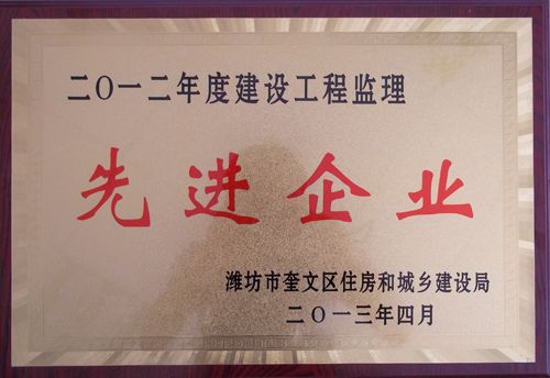 点击查看详细信息<br>标题：2012年度建设工程监理先进企业 阅读次数：3893