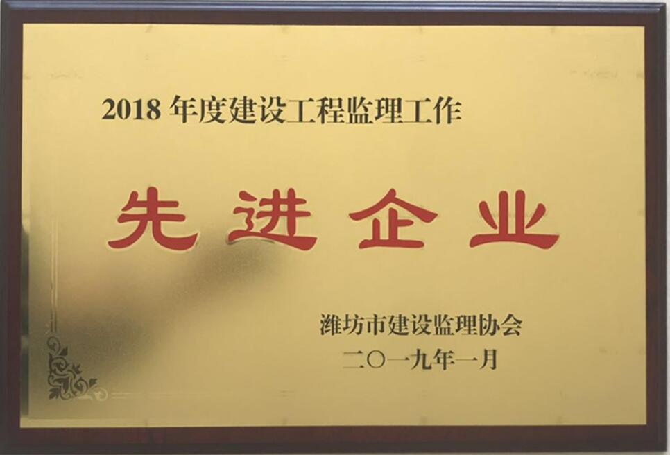 点击查看详细信息<br>标题：2018年度先进监理企业 阅读次数：2526
